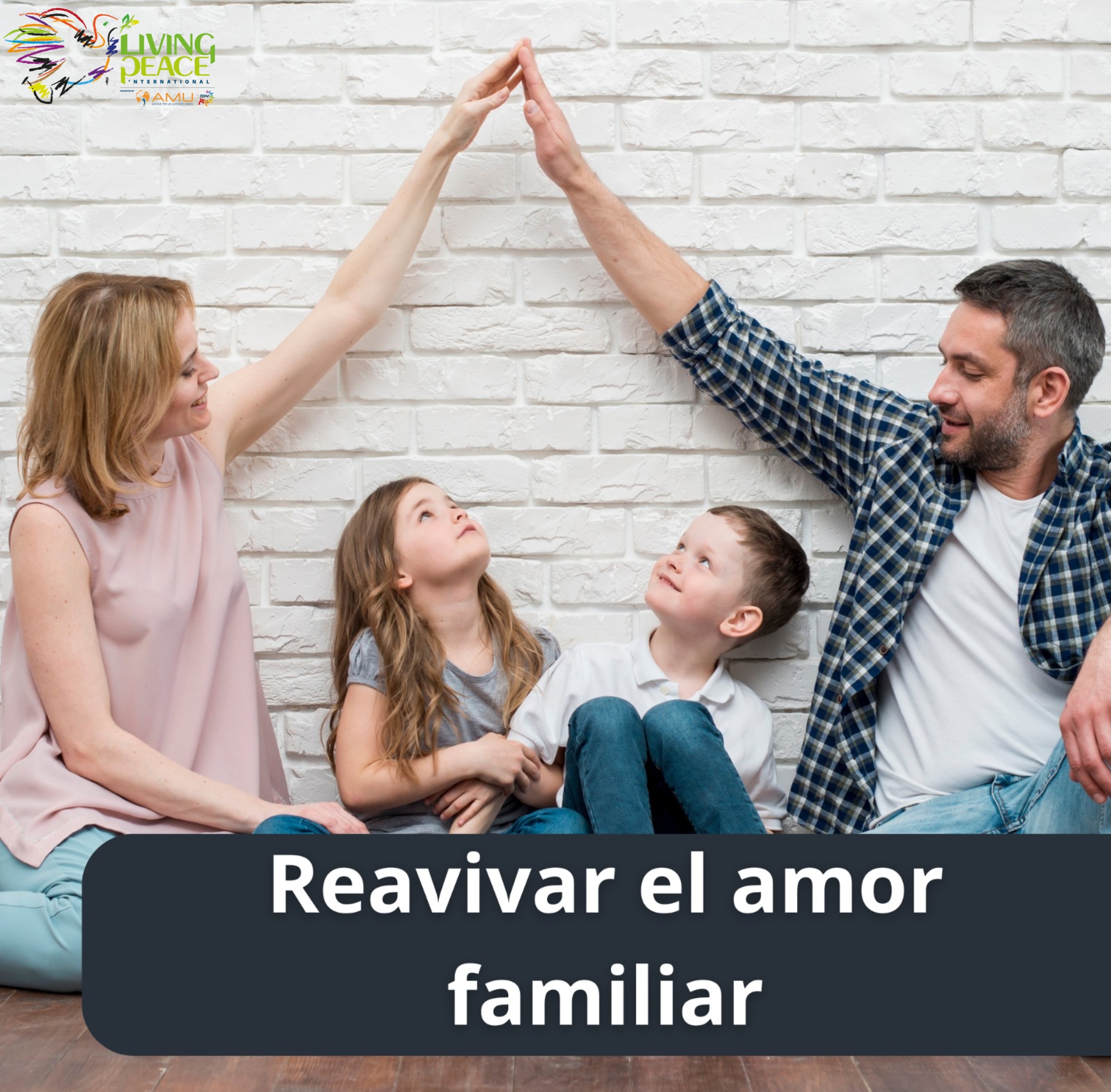 Dado de la Paz para las familias